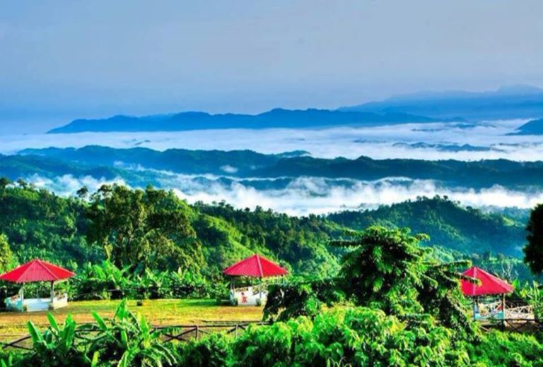 বিভিন্ন বিষয় নিয়ে আলোচনা করা হয়েছে। বিস্তারিত ভিডিও দেখুন।